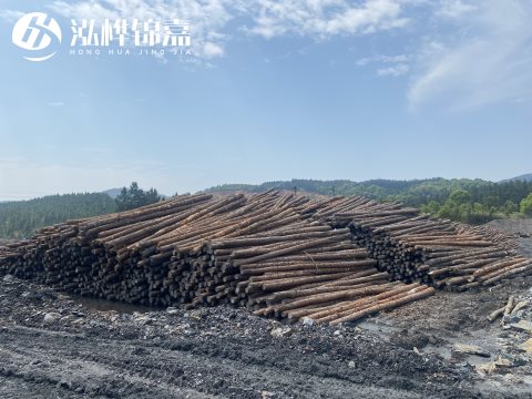 河道打樁為什么選擇松木樁來(lái)處理軟地基？-松木樁施工使用范圍