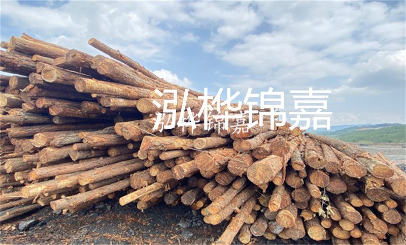 濮陽松木樁，卓越品質，安全可靠